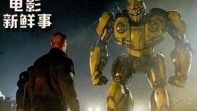 大黄蜂（国语版）,勇敢无畏的青春传奇