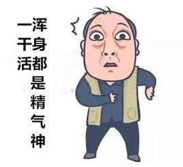 济世良药,探寻中医药的神奇疗效与传承之路