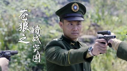 苍狼之特战突击,铁血精英的生死较量