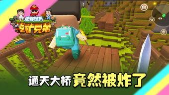 奔跑吧！小狗 第一季,萌宠竞技，欢乐无限