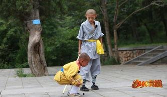 少林英雄,武林传奇，正义之剑