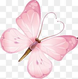 粉红蝴蝶