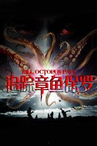 追踪章鱼保罗,追踪海洋智者的神秘之旅